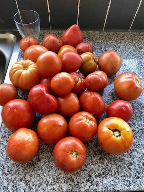 Overheerlijke biologisch zongerijpte tomaten